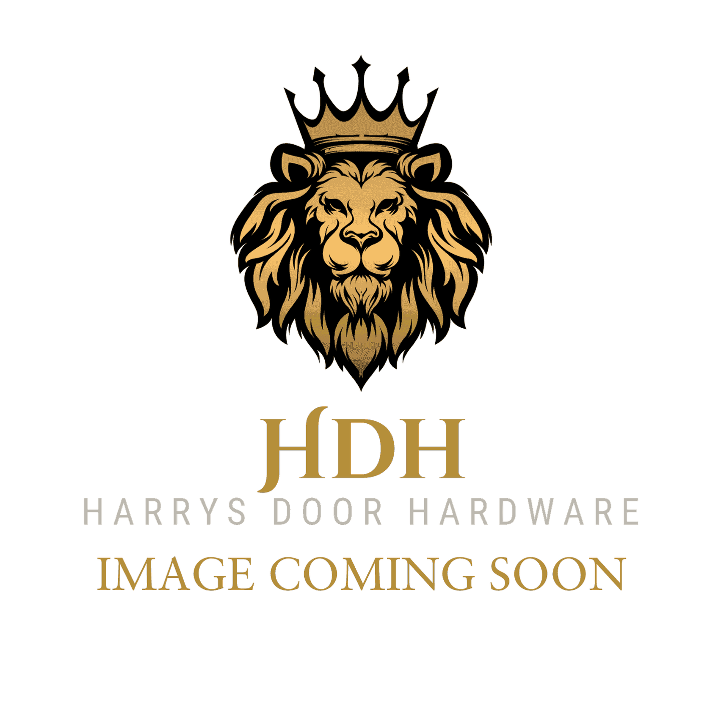 Placeholder for COAT HOOK SINGLE OB 4H CP CD - HARRY'S DOOR HARDWARE. Image coming soon for this durable, stylish coat hook from Lenlok Locking Products.
