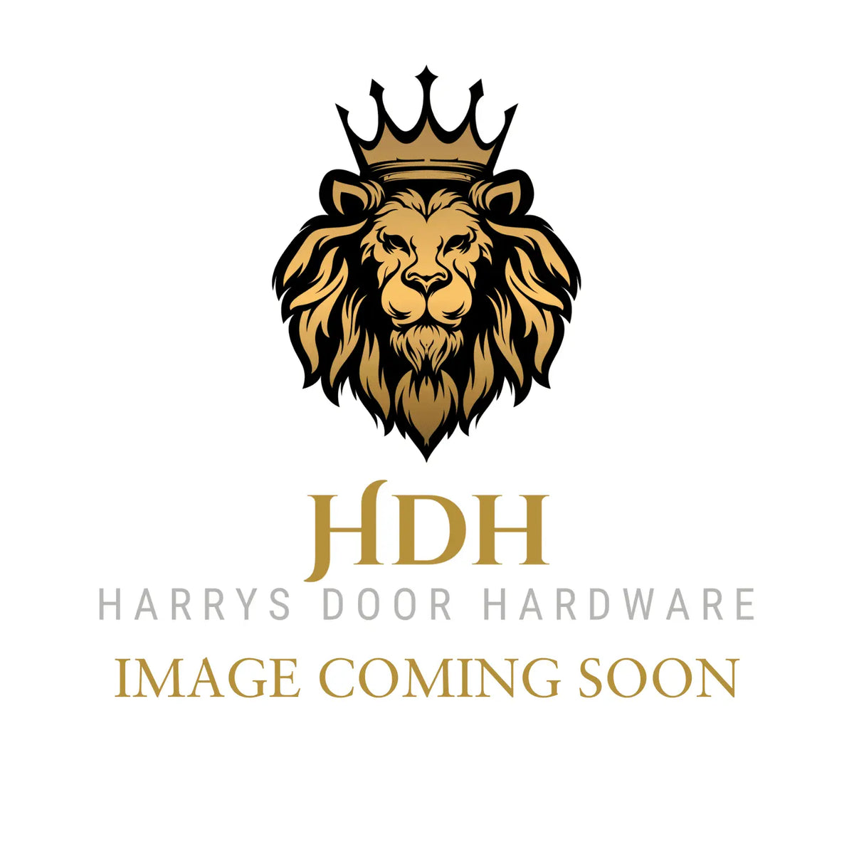Placeholder for Lenlok PH-PP-1 Back to Back Push Pull 300 X 75MM, Non Engraved, Stainless Steel Display Pack by Harrys Door Hardware