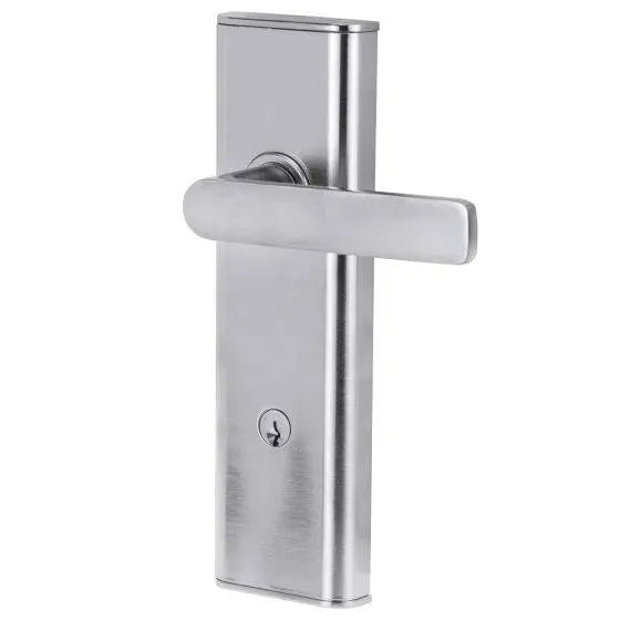 NEXION VISION MECHANICAL LEVER 3 in a sleek silver finish, designed for residential use. Modern leverset ideal for door hardware applications.