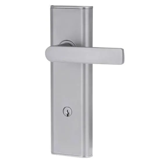 NEXION VISION MECHANICAL LEVER 3 in a sleek silver finish, designed for residential use. Ideal for modern door hardware solutions.
