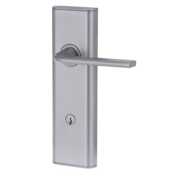 NEXION VISION MECHANICAL LEVER 4 in a sleek silver finish, designed for residential doors. Ideal for modern door hardware needs.