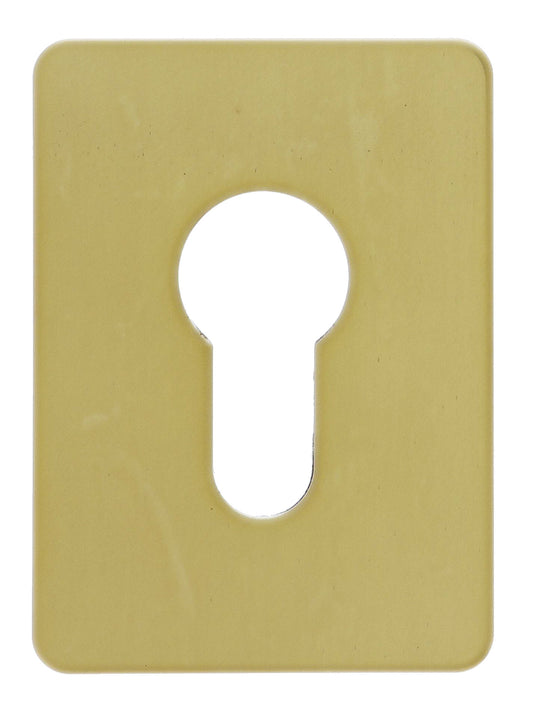 Souber EE1, Rectangular Adhesive Escutcheon Suits Euro Cylinder, 65.5mm x 47.6mm, Polished Brass